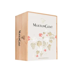SET ĐẶC BIỆT: HỘP 6 CHAI RƯỢU VANG ĐỎ MOUTON CADET